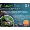 Salty Shrimp Sulawesi Mineral 8.5 100g