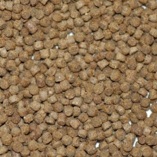 NorthFin Goldfish Formula (2mm sinking pellet) - 100 grams
