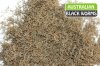 Australian FD Black Worms - 50 grams (loose)