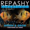 Spawn & Grow - Conditioning gel premix 6 oz.
