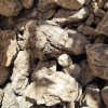 WIO Elderly Stone Set Mega Box (22kg)