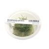 ADA Lilaeopsis brasiliensis - tissue culture