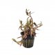 Rotala rotundifolia 'Rainbow' - potted