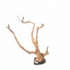 Branch Wood (XL) - H