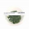 ADA Riccardia chamedryfolia - tissue culture