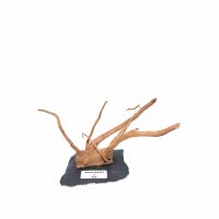 Branch Wood (S) - C