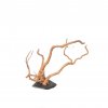 Branch Wood (XL) - C