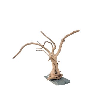 Branch Wood (L) - I