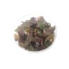 Echinodorus 'Red Diamond' - tissue culture