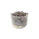 Echinodorus \'Red Diamond\' - tissue culture