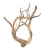 Ghostwood (M) - B