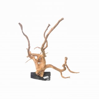 Branch Wood (XL) - G