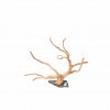 Branch Wood (XL) - D