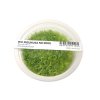 ADA Utricularia graminifolia - tissue culture