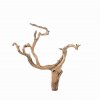 Ghostwood (M) - A