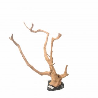 Branch Wood (XL) - H