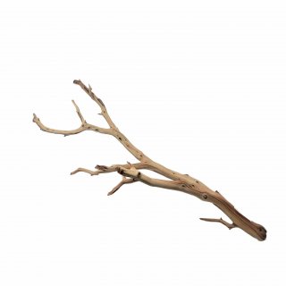 Ghostwood (L) - A