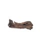 Kapas Root (M) - B