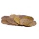 Indian Almond Leaves - pack of 100 Small leaves