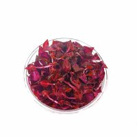Alternanthera reineckii 'Rosanervig' - tissue culture