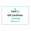 $250 Gift E-Certificate