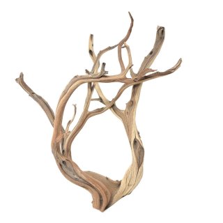 Ghostwood (M) - B