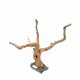 Branch Wood (L) - C