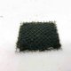 Phoenix Moss (Fissidens fontanus) - mini mesh