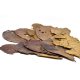 Indian Almond Leaves - pack of 10 Low Grade Leaves