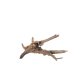 Spider Wood (XS) - C