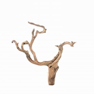 Ghostwood (M) - A