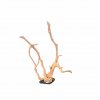 Branch Wood (XL) - I