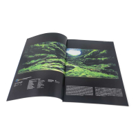 The IAPLC Book 2022