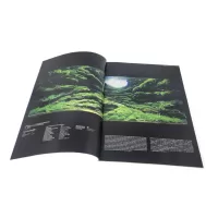 The IAPLC Book 2022