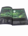 The IAPLC Book 2023