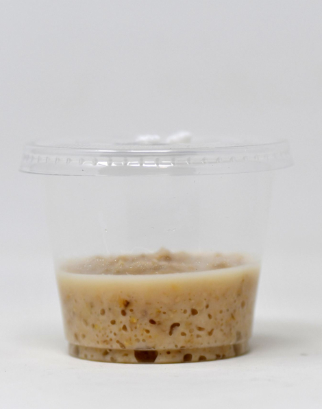 Microworm culture - starter culture