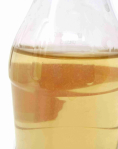 Vinegar Eel culture