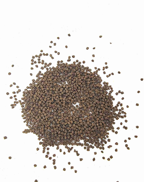 Northfin Nano Bits 20g