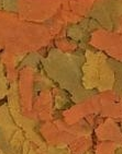 NorthFin Community Flake 65g