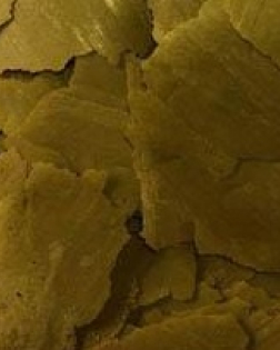NorthFin Kelp Flake 350g