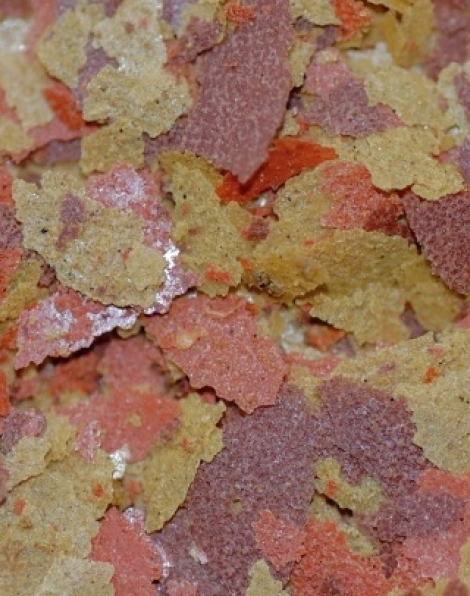 Pro-growth Flake 4oz