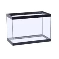 Seapora 20 gallon High Tank