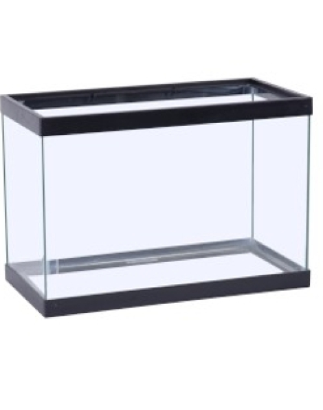 Seapora 20 gallon High Tank