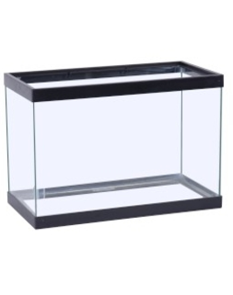 Seapora 5.5 gallon Tank