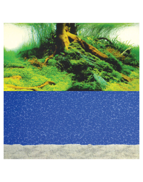 Background 24" Bubbling Sand and Amazon 1ft