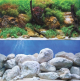Backgrounds