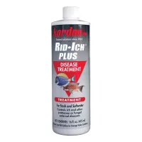 Kordon Rid Ich Plus 16oz.