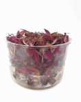 Alternanthera reineckii 'Rosanervig' - tissue culture