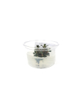 Bucephalandra kedagant mini round Mini Cup - tissue culture