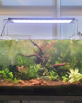 aquaLife Ultra S60 RGB LED